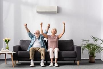 Positive senior couple showing yes gesture under air conditioner on sofa at home