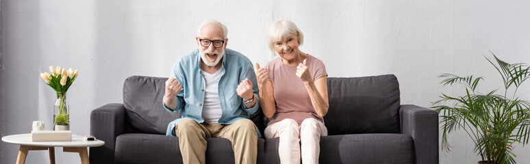 Panoramic shot of smiling elderly couple showing yes and thumbs up gestures on couch at home