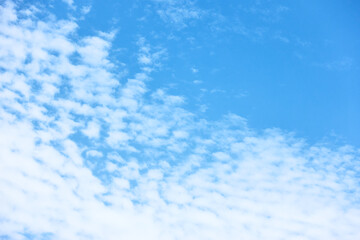 Blue sky with multitude of white clouds