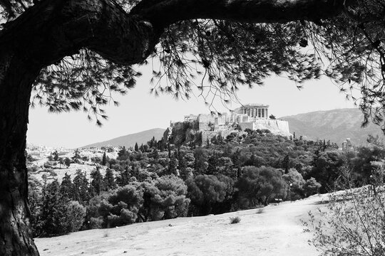 View over the Acropolis from Hill of the Nymphs in Athens