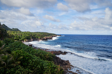 Fototapeta premium Tropical landscape. Seashore, big waves.