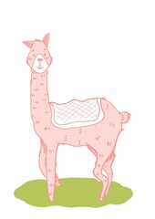 funny cartoon alpaca