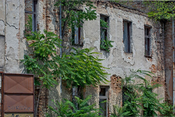 Collapsed building