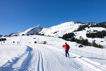 Fototapeta na wymiar Ski de fond dans les Alpes