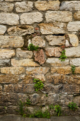 Vintage antique brickwork of limestone blocks. Grunge background. Ancient wall overgrown with green plants in the gaps between bricks.