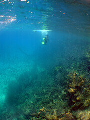 Fototapeta na wymiar free diving underwater snrokel water blue caribbean sea Venezuela