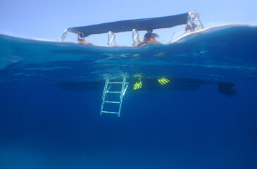 free diving underwater snrokel water blue caribbean sea Venezuela