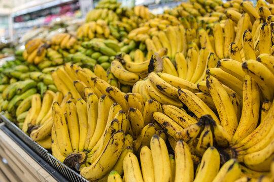 Closeup shot of ripe and unripe bananas for sale at the fruit section of a supermarket.