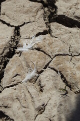 desechos humanos  sin miranientos