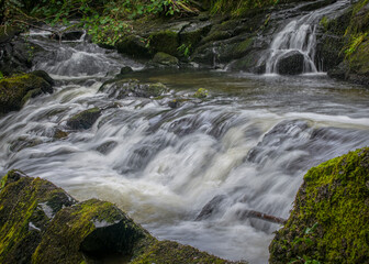 waterfall in the forest