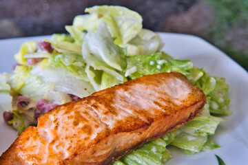 Zwei Bio Lachsfilets mit Salat und Jogurthdressing auf einem Teller angerichtet - guten Appettit 