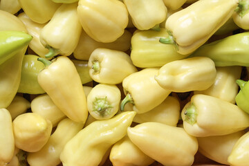 Sweet bell peppers close-up. Yellow and green paprikas