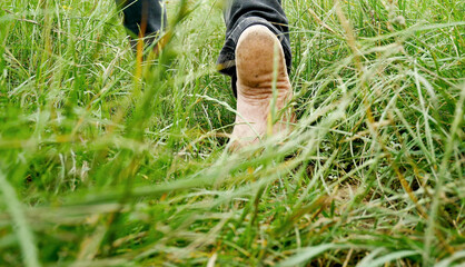 Piedi nudi in un prato verde