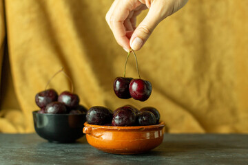 Cherries on a yellow autumn cloth with human hand. Concept of healthy food and fruit.