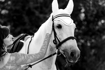 Obraz premium The woman is to give the beautiful white horse close.