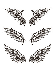 Obraz premium Set of wing illustration