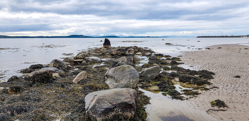 seagulls on the beach