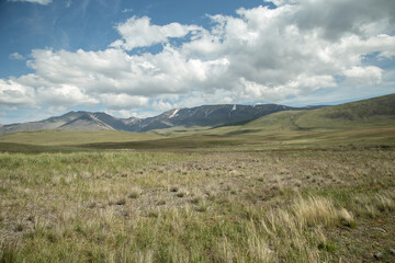 Fototapeta premium Amazing Altay. Plateau Ukok, view of a steppe at the plateau Ukok. Russian adventures. Mountain hiking in the Altai republic. Active holiday with family and friends. 