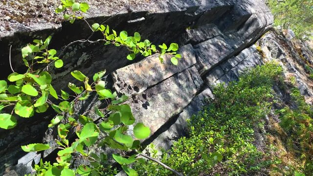 The remains of the ancient civilization of Hyperborea on the Kola Peninsula near the city of Kandalaksha on the White Sea. Polygonal masonry. 4K resolution shooting