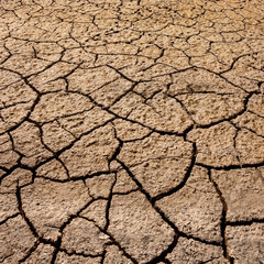 Dry, cracked earth in a dried up salt pan - Etosha National Park in Namibia, Africa.