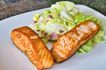 Zwei Bio Lachsfilets mit Salat und Jogurthdressing auf einem Teller angerichtet - guten Appettit 