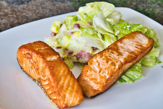 Zwei Bio Lachsfilets mit Salat und Jogurthdressing auf einem Teller angerichtet - guten Appettit 