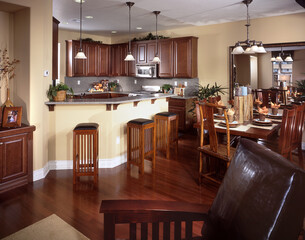 kitchen interior and dining room