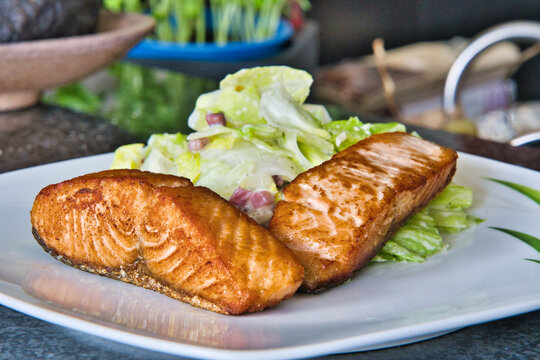 Zwei Bio Lachsfilets mit Salat und Jogurthdressing auf einem Teller angerichtet - guten Appettit 