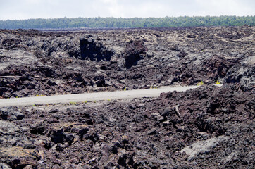 Lava desert with black solidified magma rocks form fertile ground for tropical vegetation and...