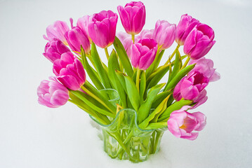 Pink Tulips bouquet with white background