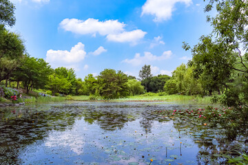 Fototapeta na wymiar Beautiful park with a pond in great weather