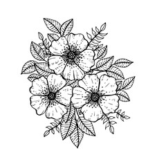 Doodle floral pattern in black and white. Page for coloring book: very interesting and relaxing job for children and adults. Zentangle drawing. Flower carpet in magic garden