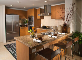 modern kitchen interior