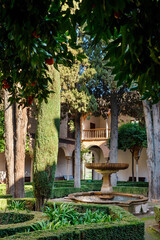 Fototapeta na wymiar Jardin de l’Alhambra