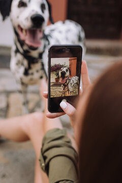 woman taking a picture with a mobile photo of her Dalmatian dog