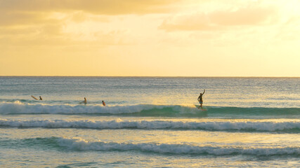 Fototapeta premium Male surfer catches a wave and rides it to coast on a sunny evening in Barbados