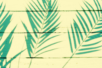 Palm tree leaf shadows on wood texture background.  Tropical summer concept in pop art colors.