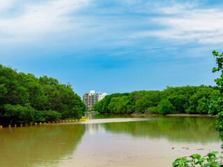 The tranquil landscape at the lake with the clear sky, white clouds and trees reflects the symmetry in the clear blue sea and the waterfront houses.