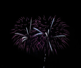 fireworks in the night sky