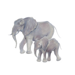 Watercolor marker cute realistic illustration African elephant with baby