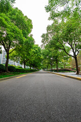 Fototapeta na wymiar The city's tree-lined asphalt roads.
