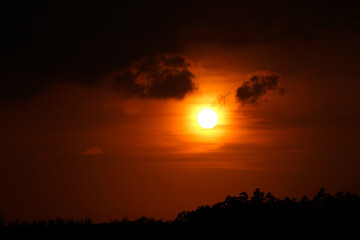 Obraz premium sunset in the forest