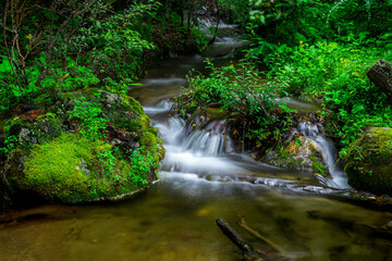 The slow flowing mountain stream in the daytime.