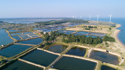Seaside wind power generation and coastal salt and farming farms.