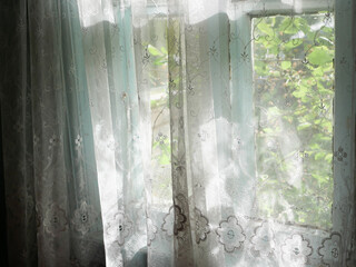 The sun shines on the old tulle