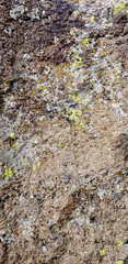 Abstract authentic authentic colored old stones backgrounds