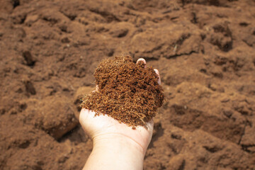 Coconut Coir