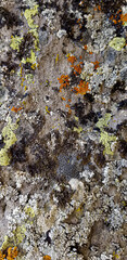 Abstract authentic authentic colored old stones backgrounds