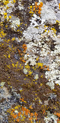 Abstract authentic authentic colored old stones backgrounds