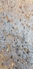 Abstract authentic authentic colored old stones backgrounds